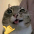 <img src=