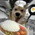 <img src=